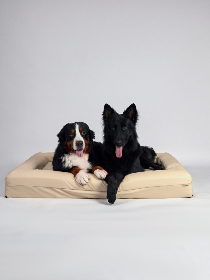 pet bed malaysia