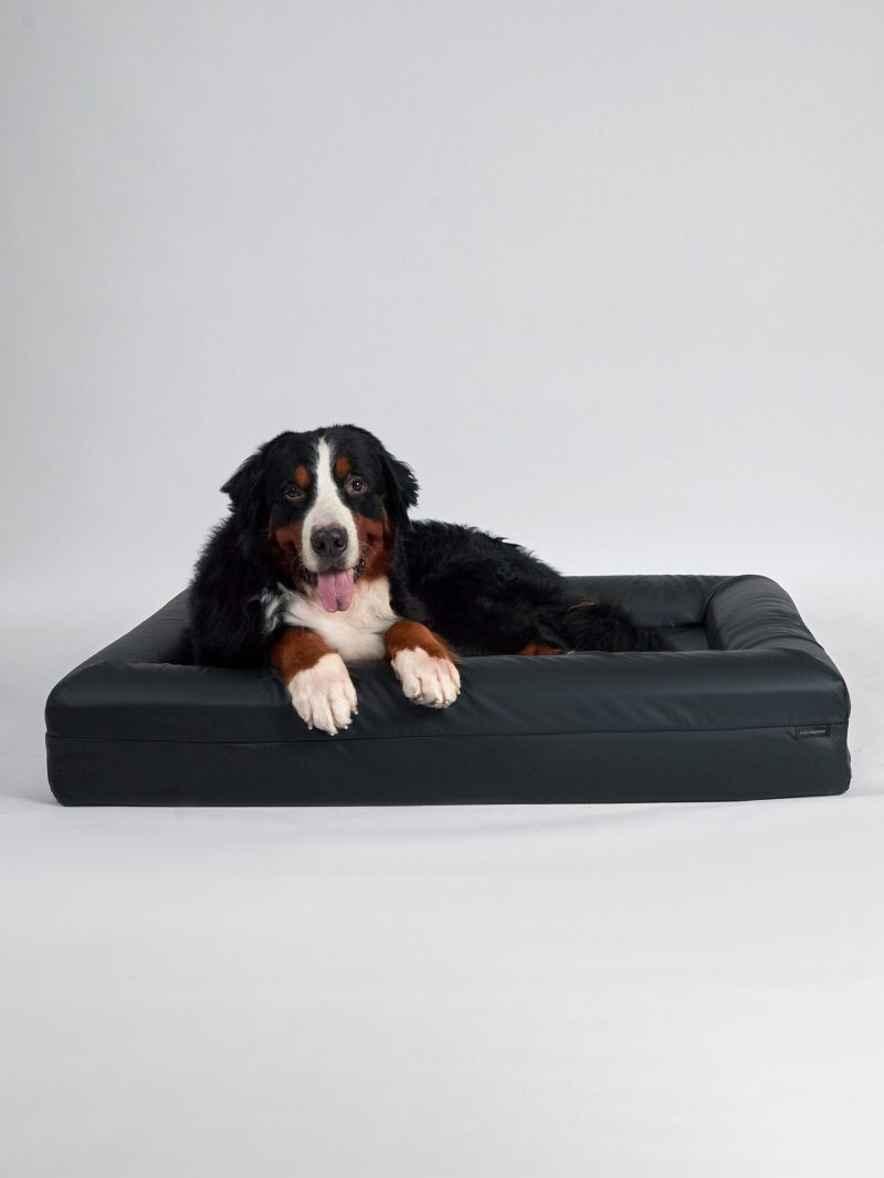 pet bed