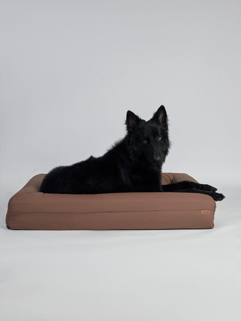 Pet Bed