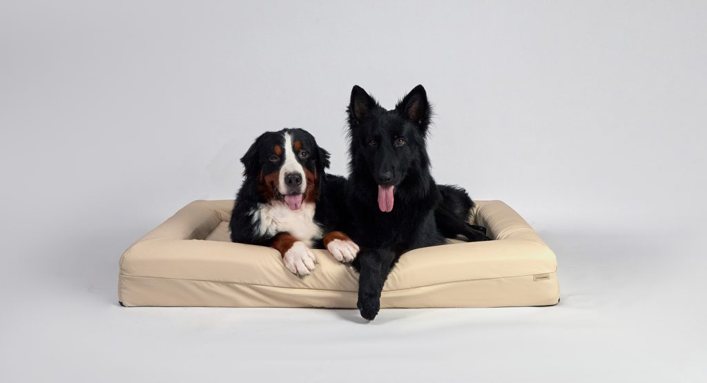 Ped Bed