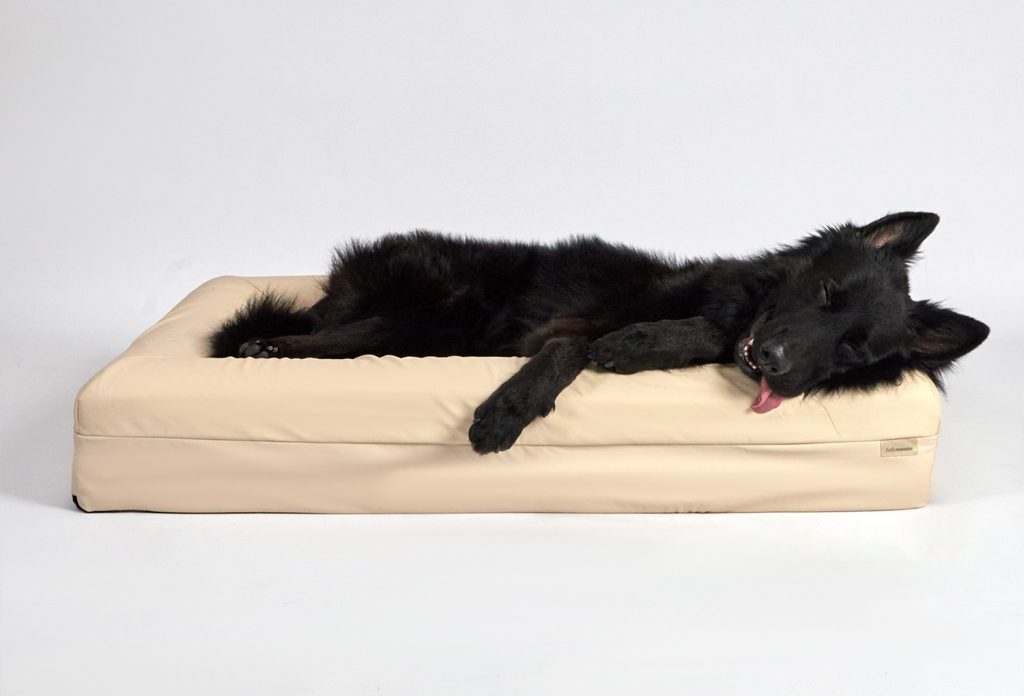 Large Pet Bed