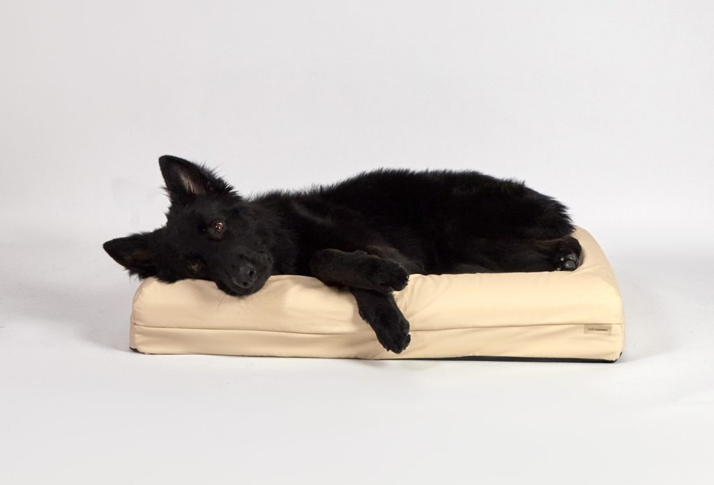 Medium Pet Bed