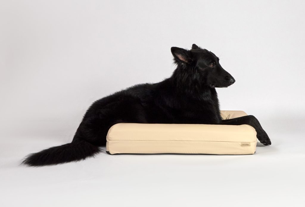 Small Pet Bed