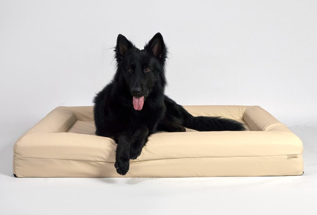 Extra Large Pet Bed
